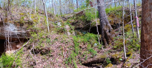 Tract 3 at Crown Wildlife Retreat property photo