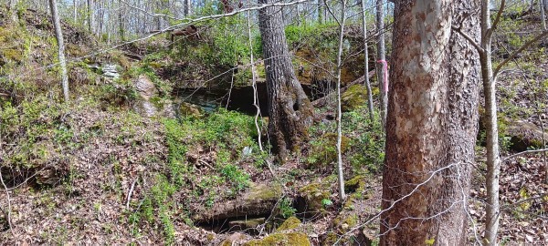 Tract 3 at Crown Wildlife Retreat property photo