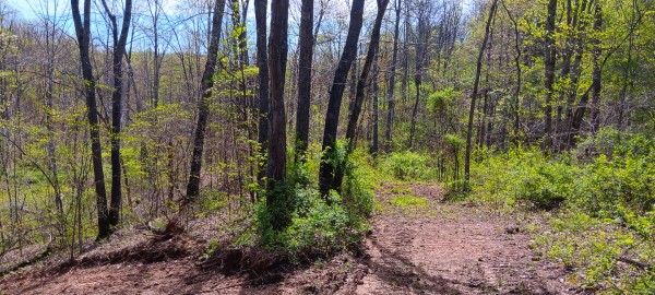 Tract 3 at Crown Wildlife Retreat property photo