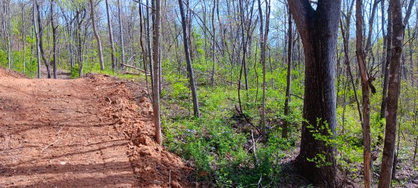 Tract 3 at Crown Wildlife Retreat property photo