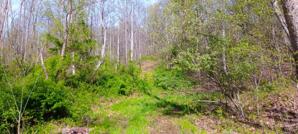 Tract 3 at Crown Wildlife Retreat property photo
