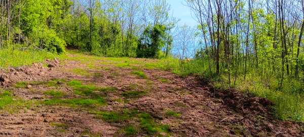 Tract 3 at Crown Wildlife Retreat property photo