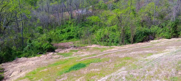 Tract 3 at Crown Wildlife Retreat property photo
