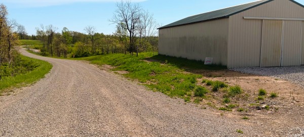 More of Tract 3 at Crown Wildlife Retreat