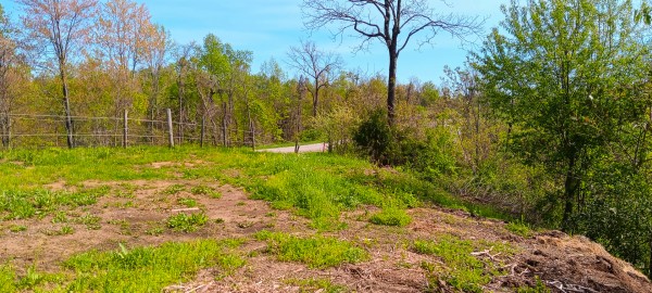 Tract 3 at Crown Wildlife Retreat property photo