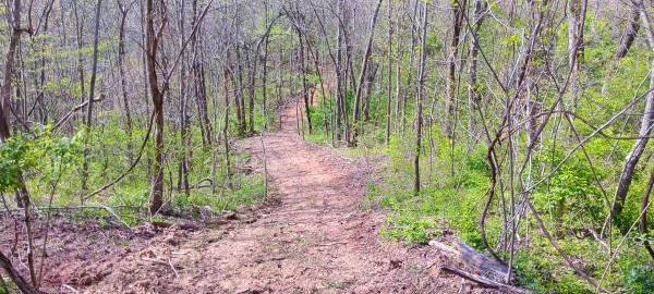 Tract 3 at Crown Wildlife Retreat property photo
