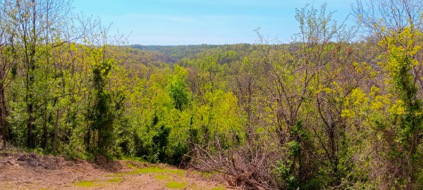 Tract 3 at Crown Wildlife Retreat property photo