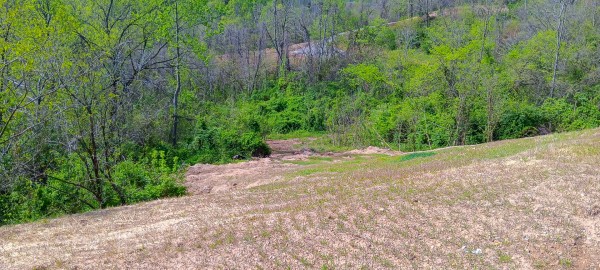 Tract 3 at Crown Wildlife Retreat property photo