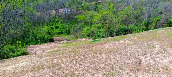 Tract 3 at Crown Wildlife Retreat property photo