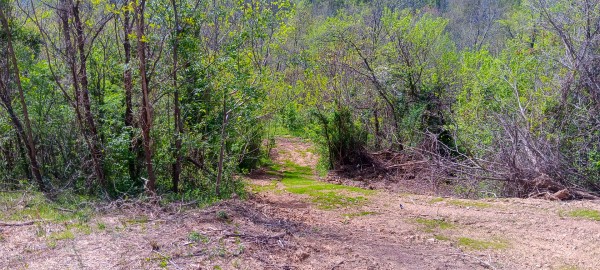 Tract 3 at Crown Wildlife Retreat property photo