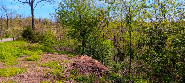 Tract 3 at Crown Wildlife Retreat property photo