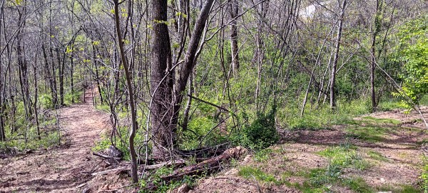 Tract 3 at Crown Wildlife Retreat property photo