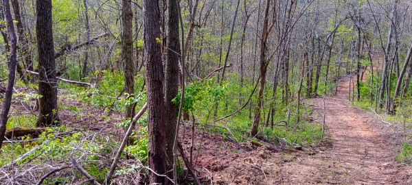 Tract 3 at Crown Wildlife Retreat property photo