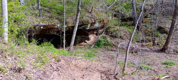 Tract 3 at Crown Wildlife Retreat property photo