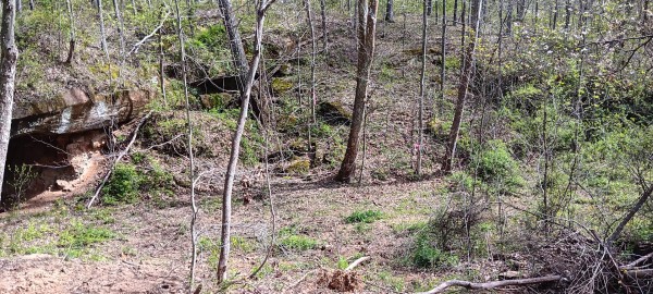 Tract 3 at Crown Wildlife Retreat property photo
