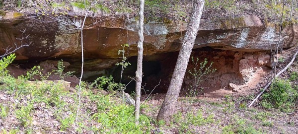 Tract 3 at Crown Wildlife Retreat property photo