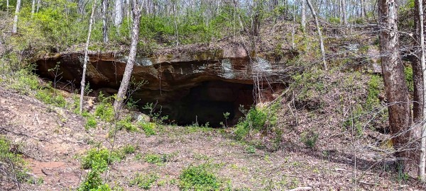 Tract 3 at Crown Wildlife Retreat property photo