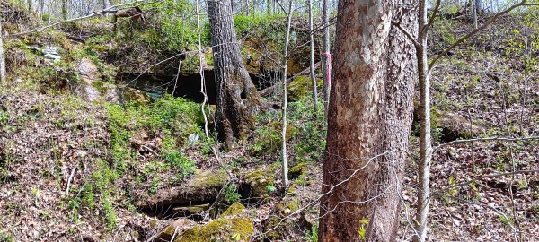 Tract 3 at Crown Wildlife Retreat property photo