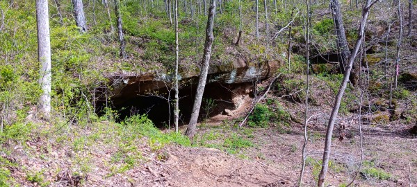 Tract 3 at Crown Wildlife Retreat property photo