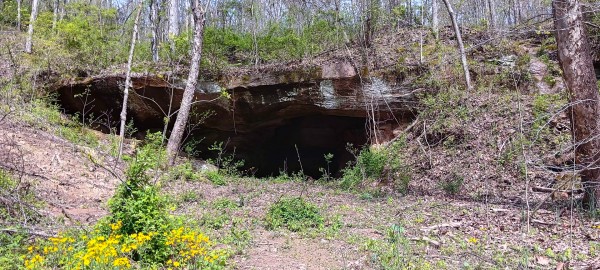 Tract 3 at Crown Wildlife Retreat property photo