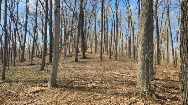 Tract 4 - Pike Lake Getaway property photo
