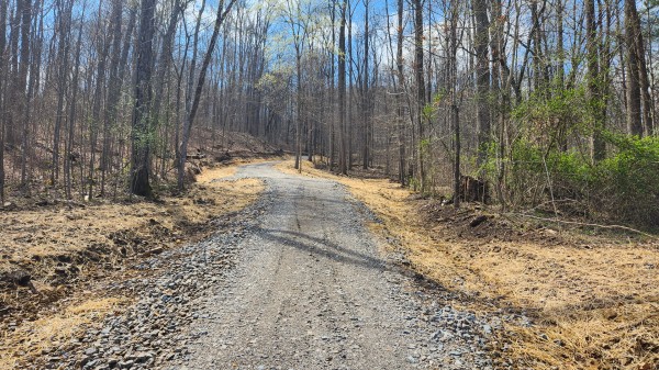 Tract 4 - Pike Lake Getaway property photo