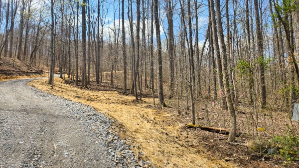 Tract 4 - Pike Lake Getaway property photo