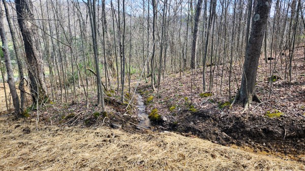 Tract 4 - Pike Lake Getaway property photo