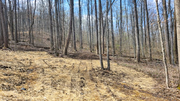 Tract 4 - Pike Lake Getaway property photo