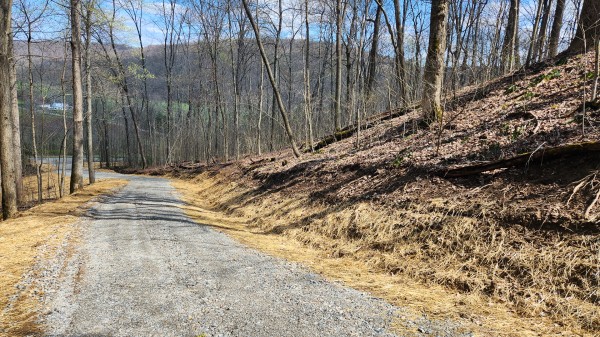 Tract 4 - Pike Lake Getaway property photo