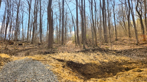 Tract 4 - Pike Lake Getaway property photo