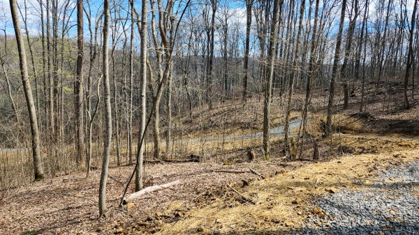 Tract 4 - Pike Lake Getaway property photo