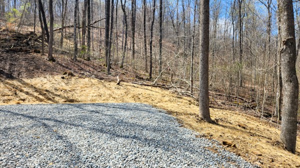 Tract 4 - Pike Lake Getaway property photo