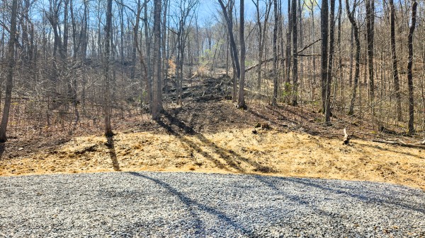Tract 4 - Pike Lake Getaway property photo