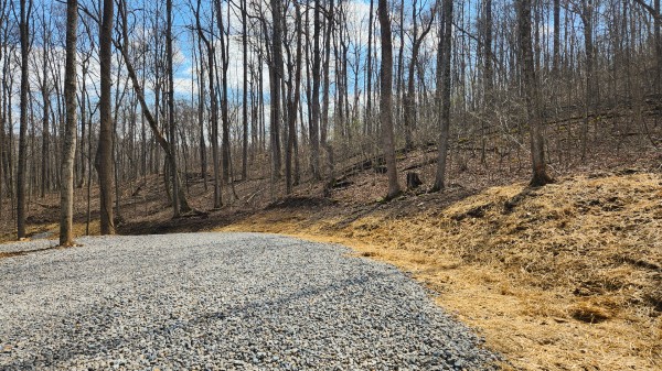 Tract 4 - Pike Lake Getaway property photo