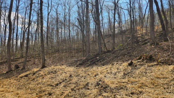 Tract 4 - Pike Lake Getaway property photo