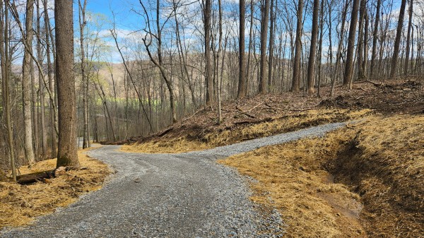 Tract 4 - Pike Lake Getaway property photo