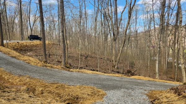 Tract 4 - Pike Lake Getaway property photo