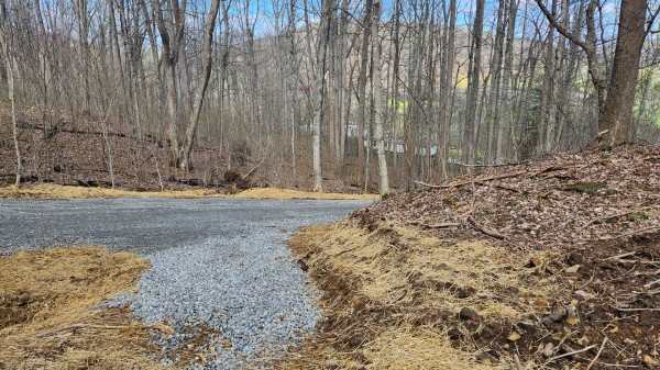 Tract 4 - Pike Lake Getaway property photo