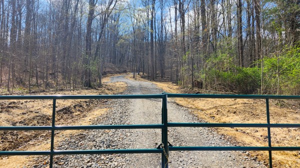 More of Tract 4 - Pike Lake Getaway