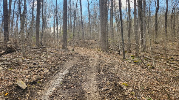 Tract 4 - Pike Lake Getaway property photo