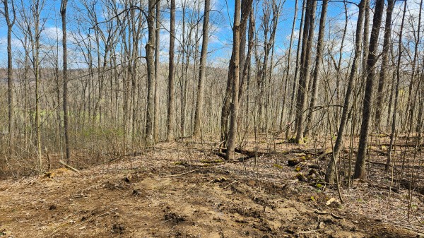 Tract 4 - Pike Lake Getaway property photo