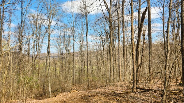 Tract 4 - Pike Lake Getaway property photo