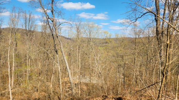 Tract 4 - Pike Lake Getaway property photo