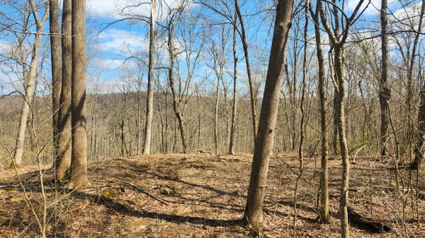 Tract 4 - Pike Lake Getaway property photo