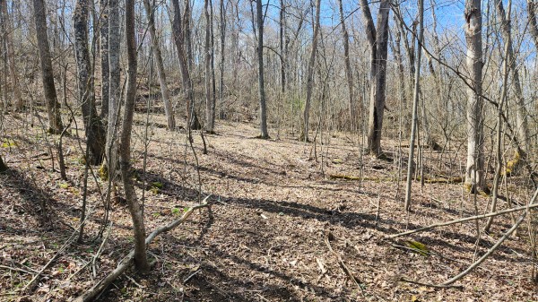 Tract 4 - Pike Lake Getaway property photo