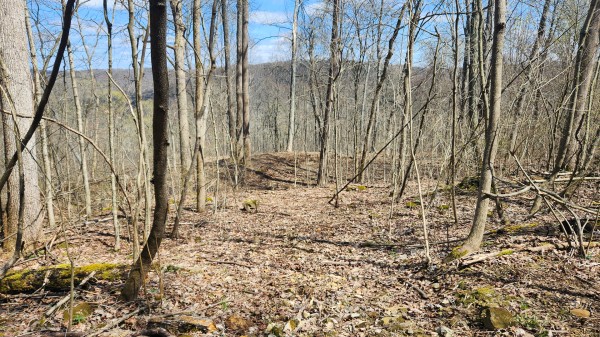 Tract 4 - Pike Lake Getaway property photo