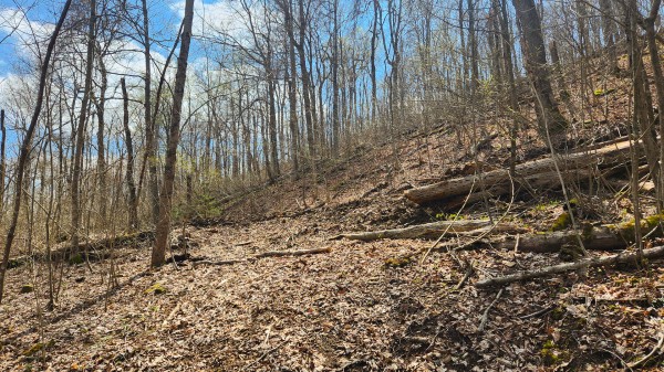 Tract 4 - Pike Lake Getaway property photo