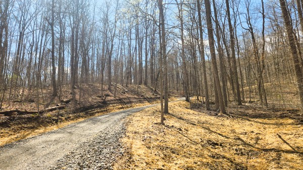 More of Tract 4 - Pike Lake Getaway