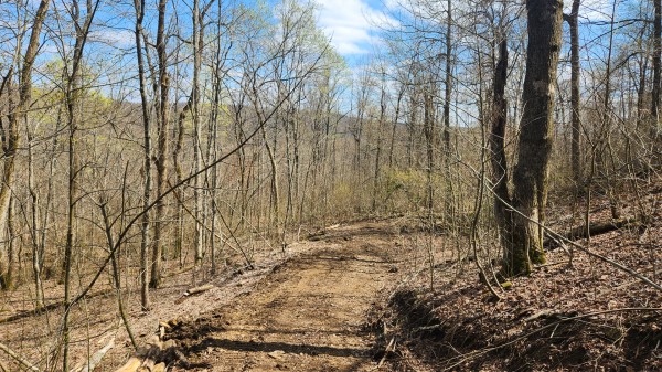 Tract 4 - Pike Lake Getaway property photo